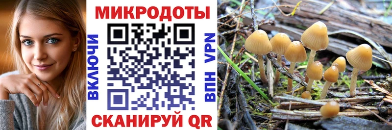 Псилоцибиновые грибы Psilocybine cubensis  Купить где  Гусиноозёрск 